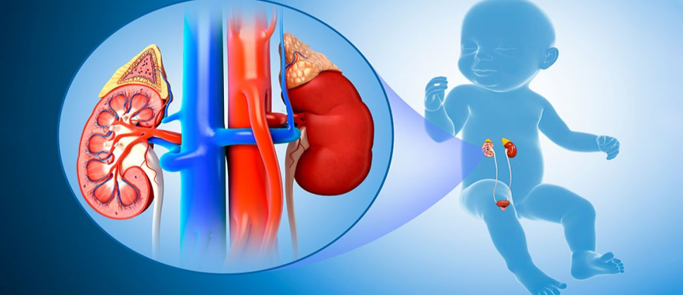 Pediatric Urology